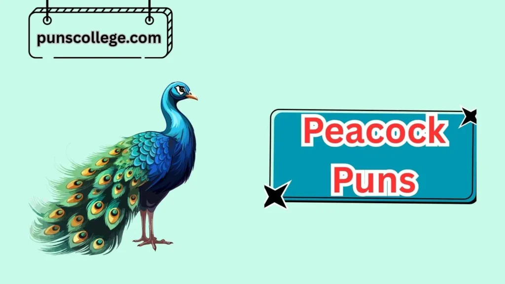 Animal Lover Peacock Puns