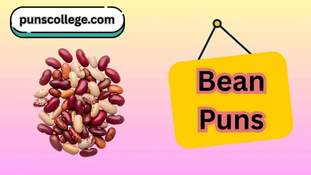 Bean puns one liners