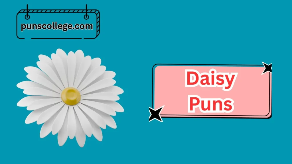Best Daisy Puns