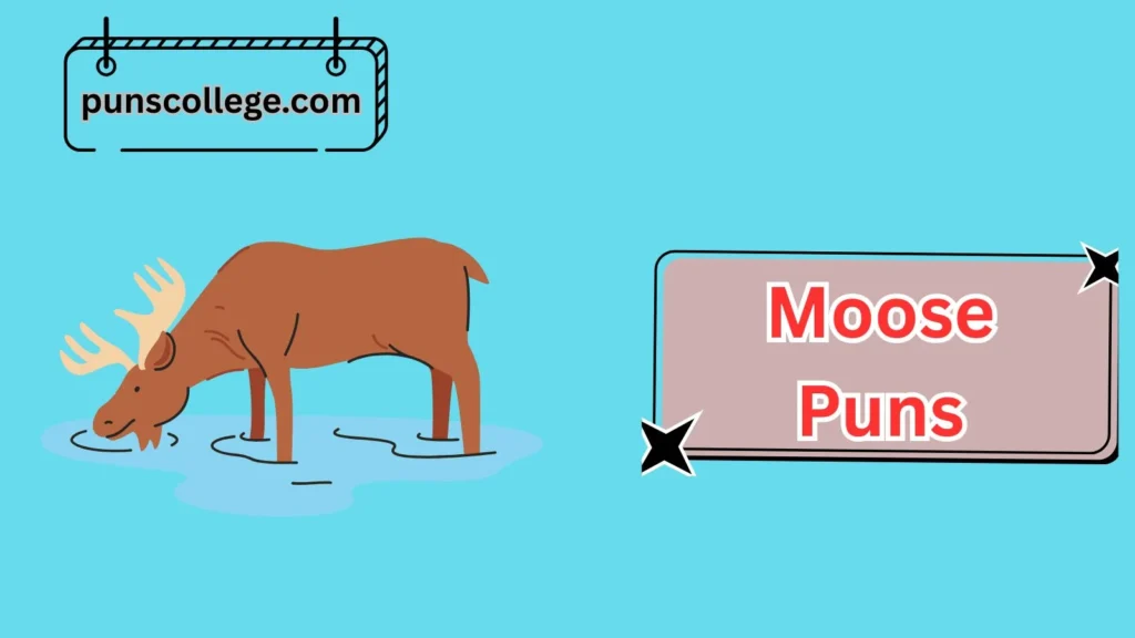 Best Moose Puns