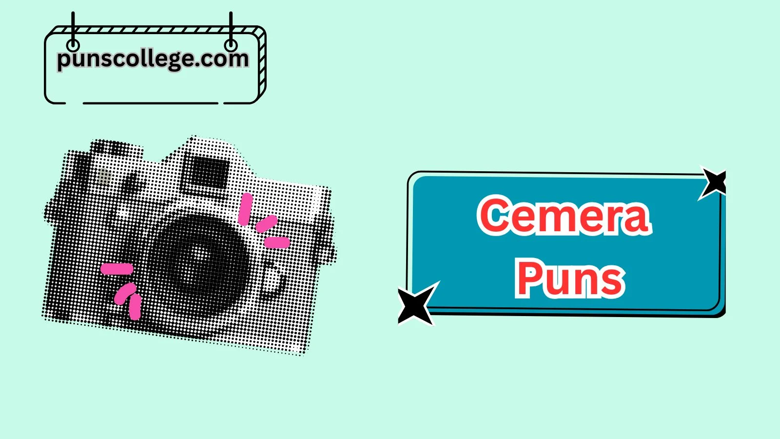 Camera Puns