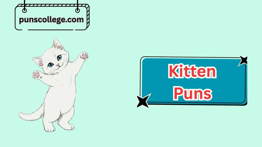 Clever Kitten Puns