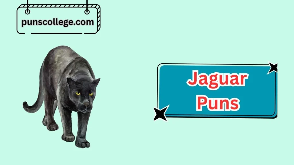 Cool Jaguar Puns