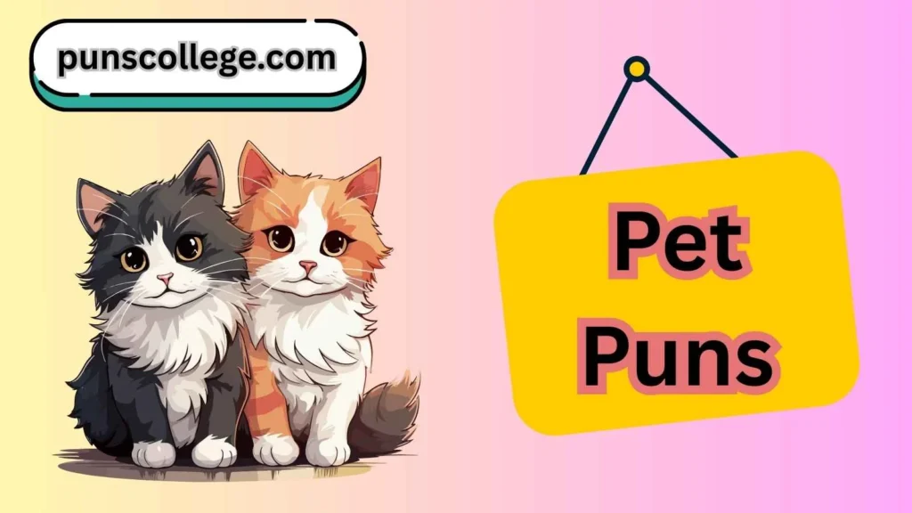 Cute pet puns