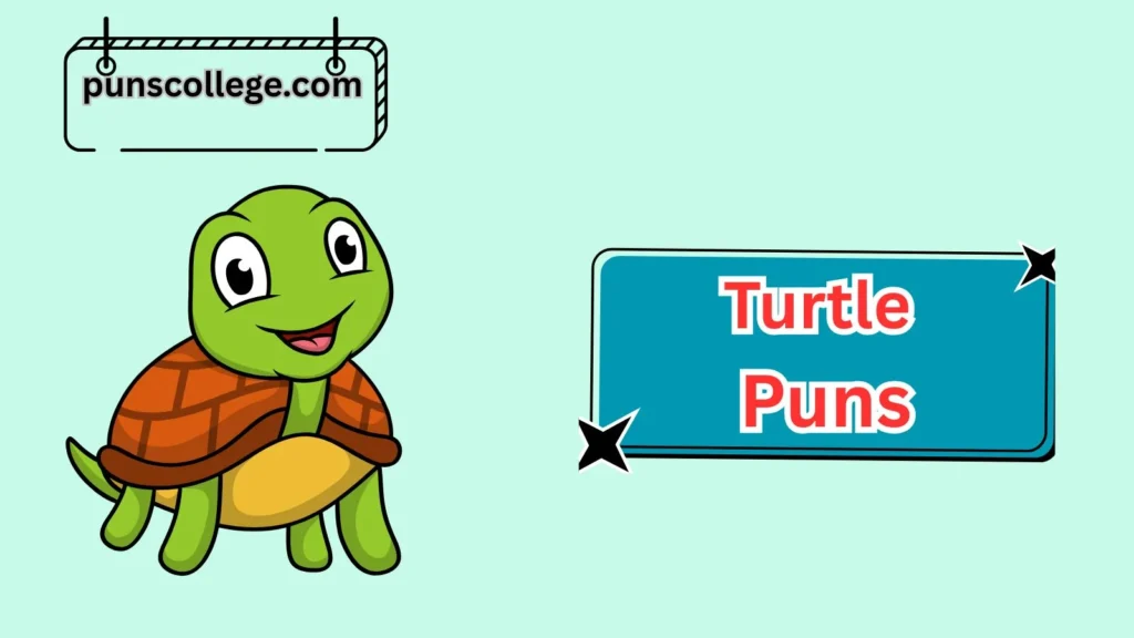 Cute Turtle Puns