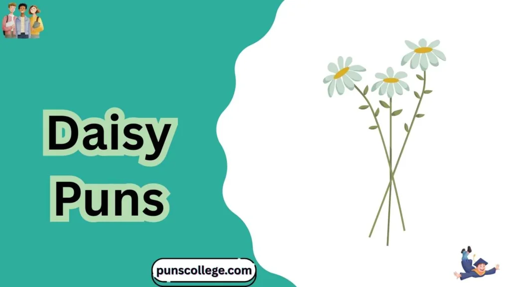 Daisy Puns One Liners