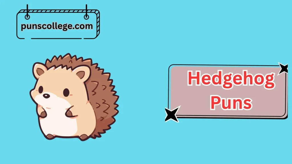 Funny Hedgehog Puns