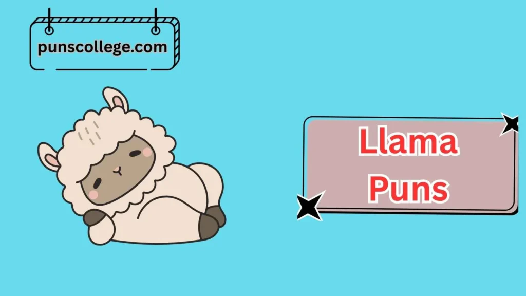 Funny Llama Puns