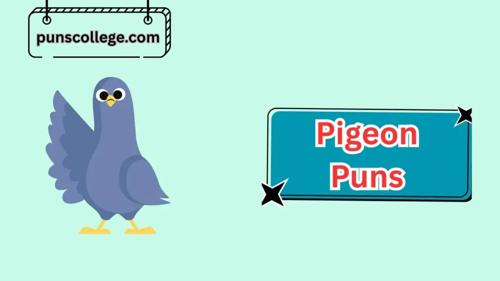 Funny Pigeon Puns