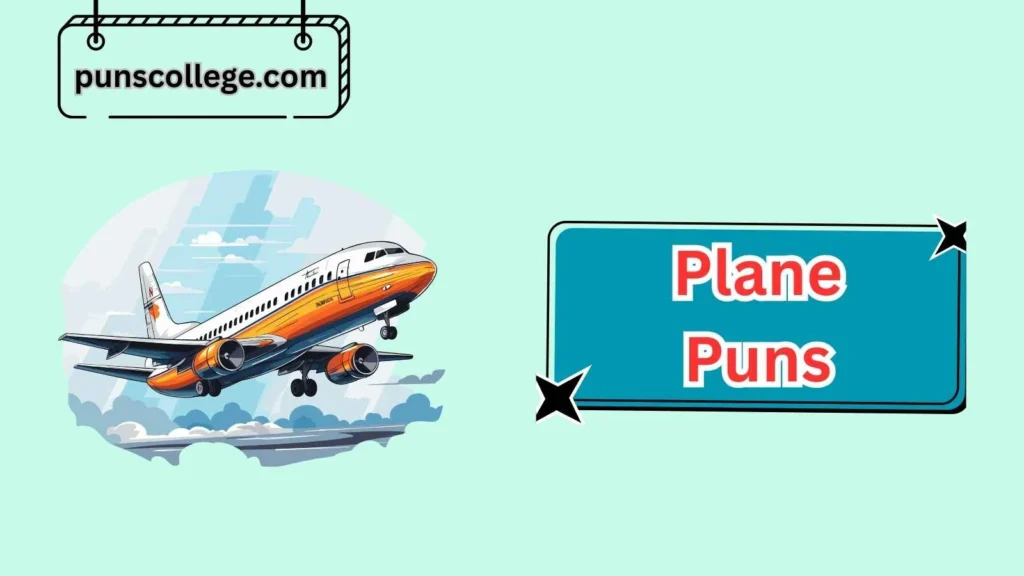 Funny Plane Puns