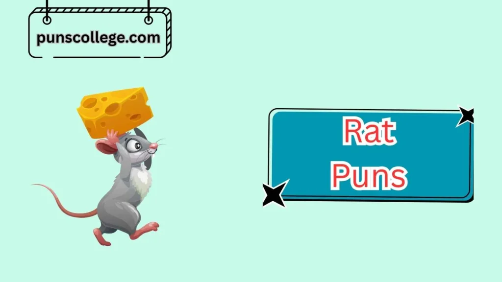 Funny Rat Puns