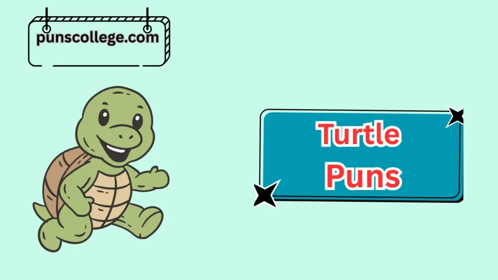 Funny Turtle Puns
