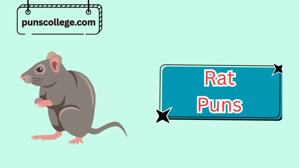 Hilarious Rat Puns
