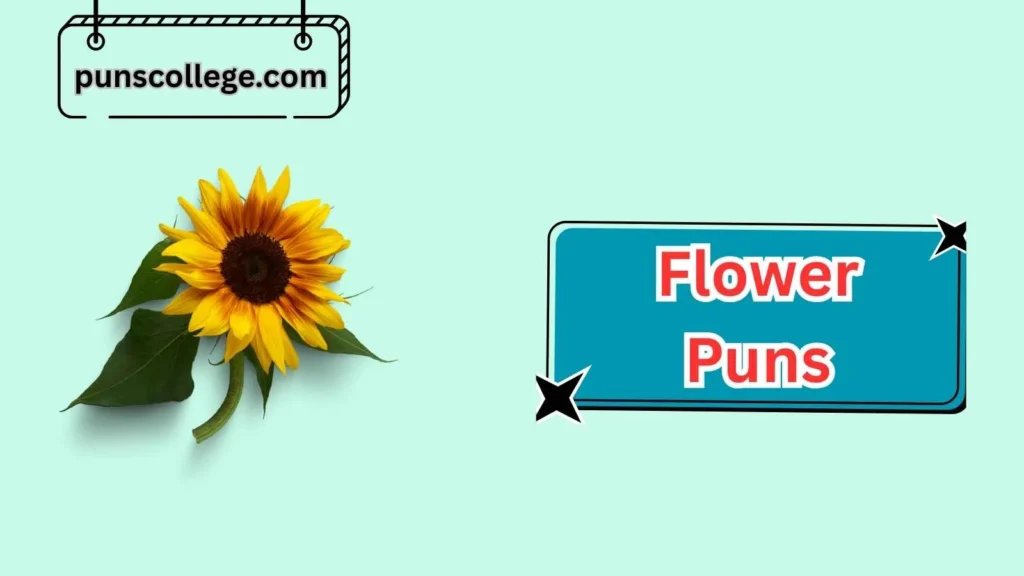 Hilarious Sunflower Puns