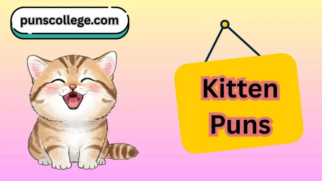 Kitten puns captions