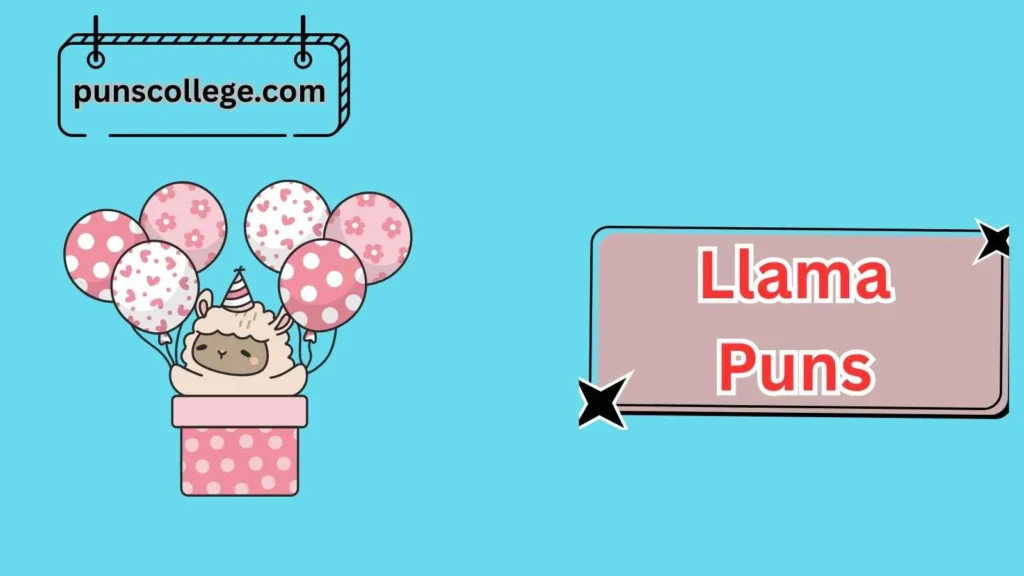 Llama Birthday Puns
