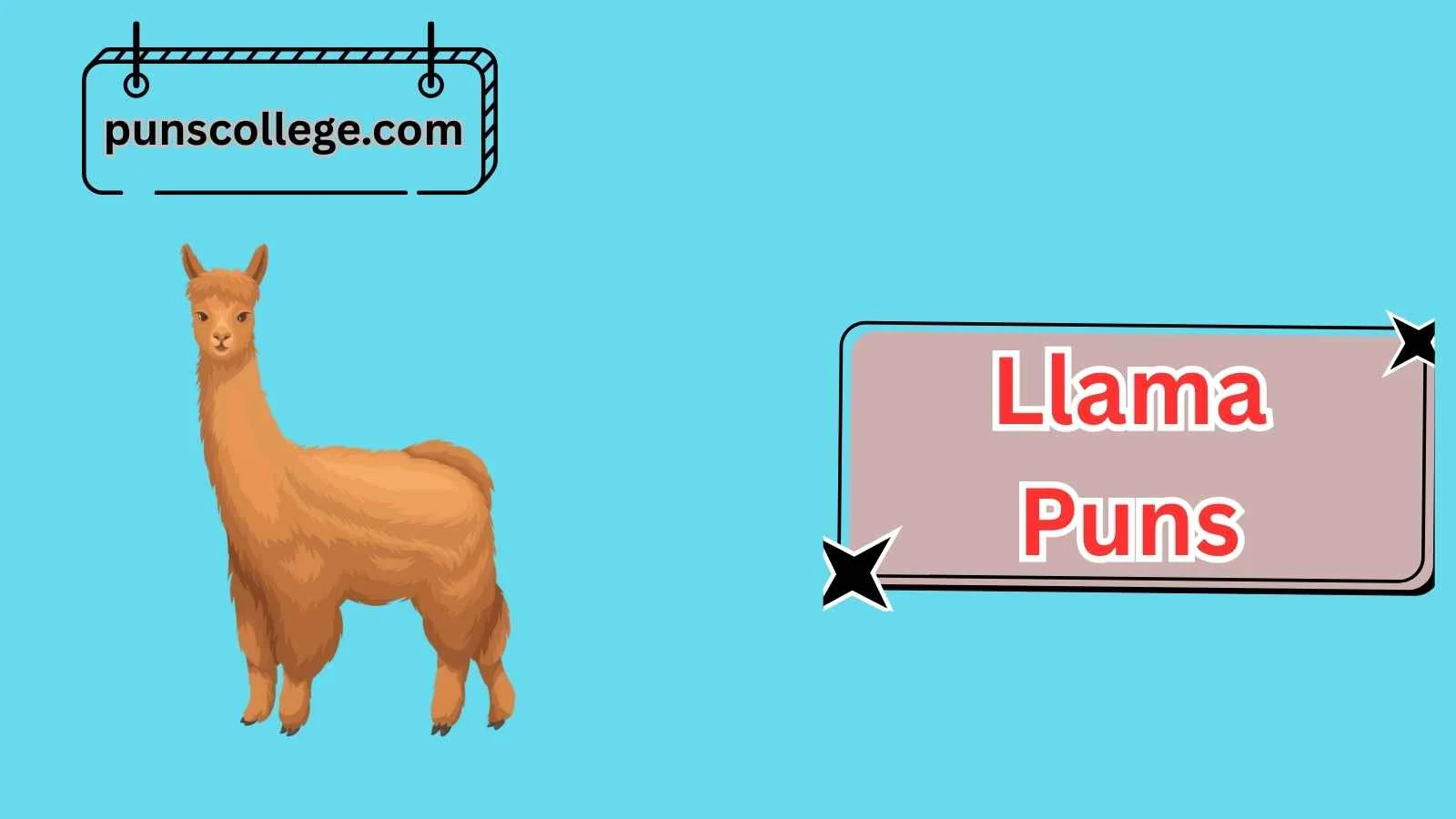 Llama Puns