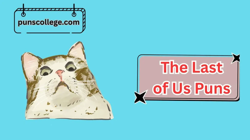 Memes & Social Media Puns