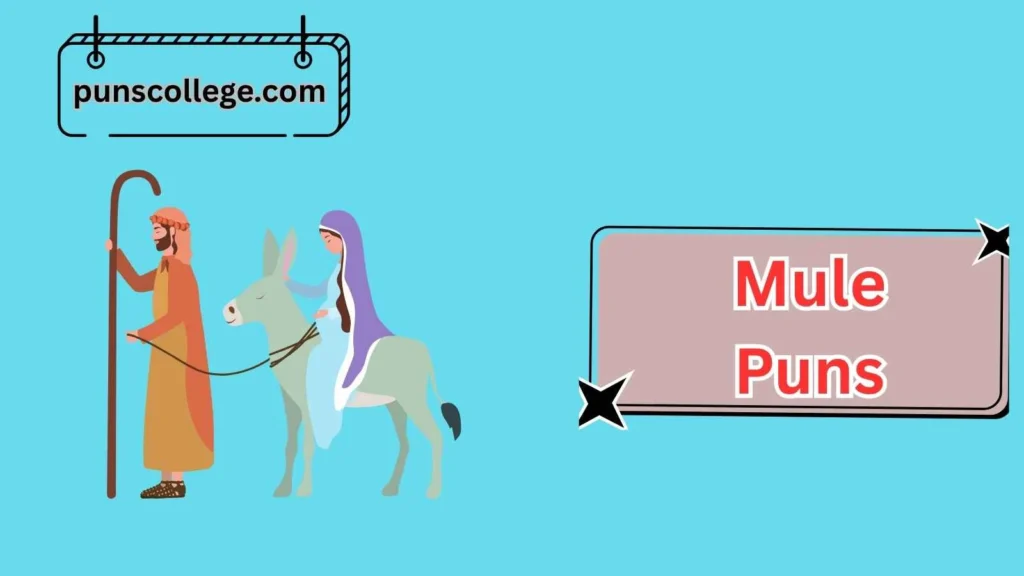 Mule Puns For Friends And Family Fun