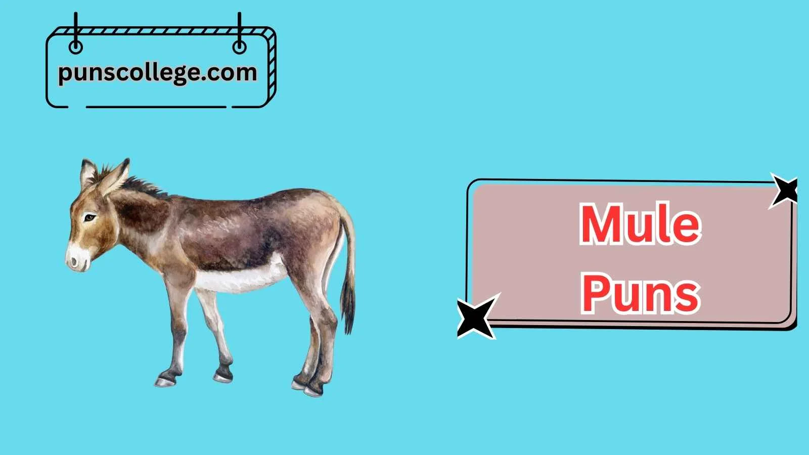 Mule Puns