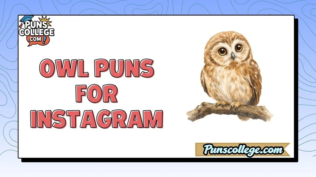 Owl Puns for Instagram