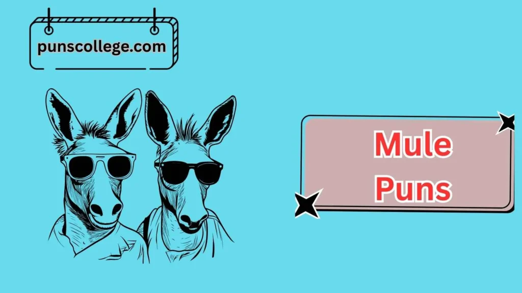 Real Mule Puns