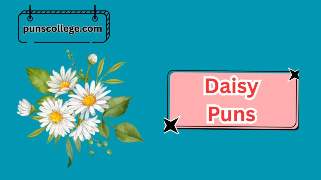 Romantic Daisy Puns