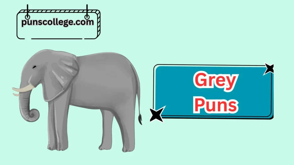 Top Grey Animal Puns