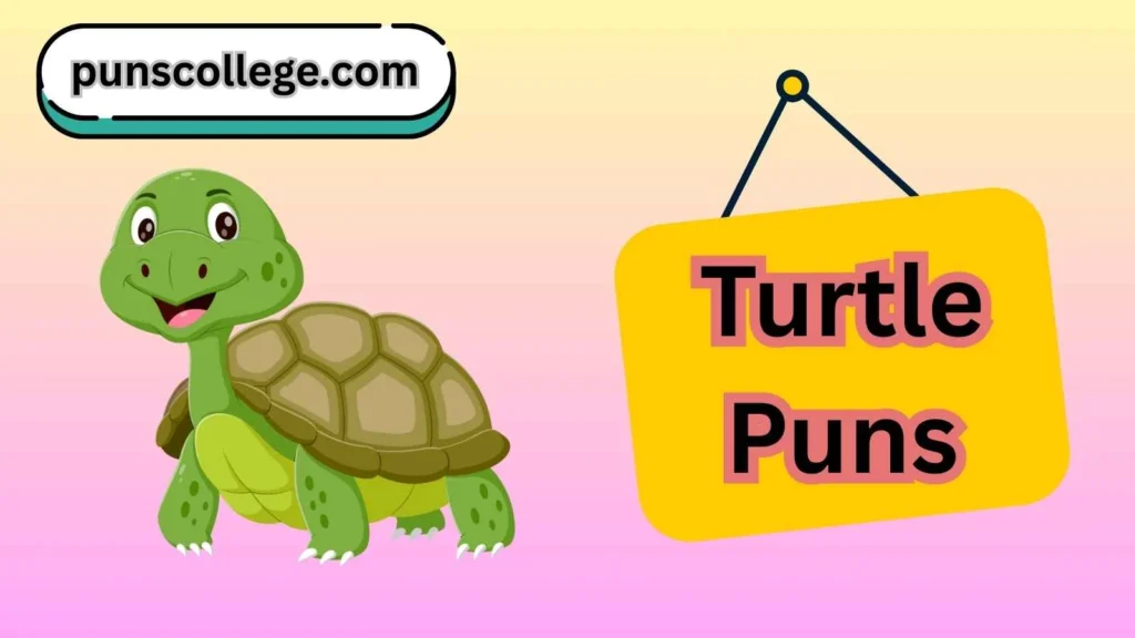 Turtle puns one liners