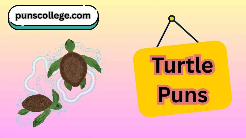 Turtle puns punpedia
