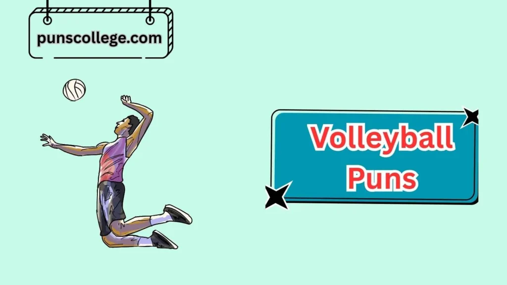 Volleyball Puns for Fans