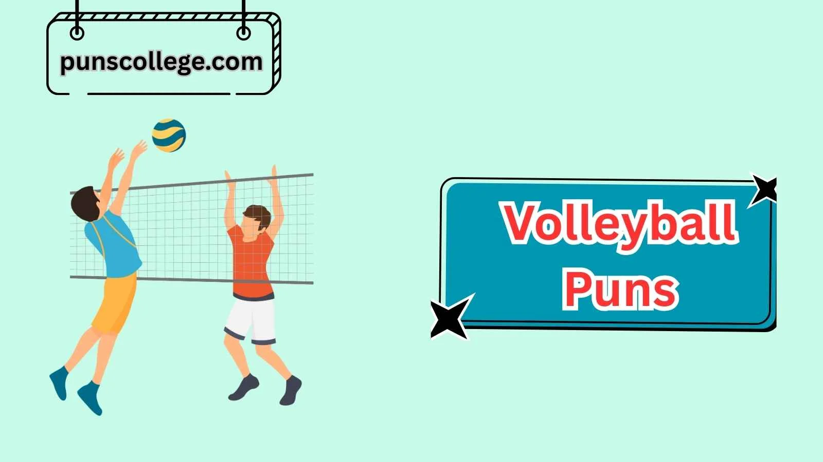 Volleyball Puns