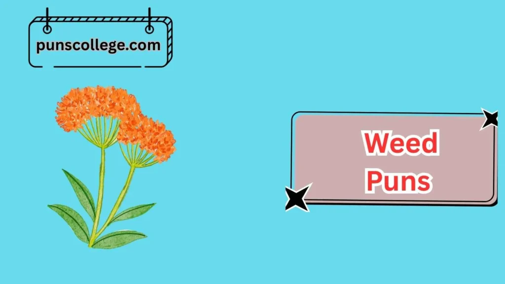 Weed Puns for Couples