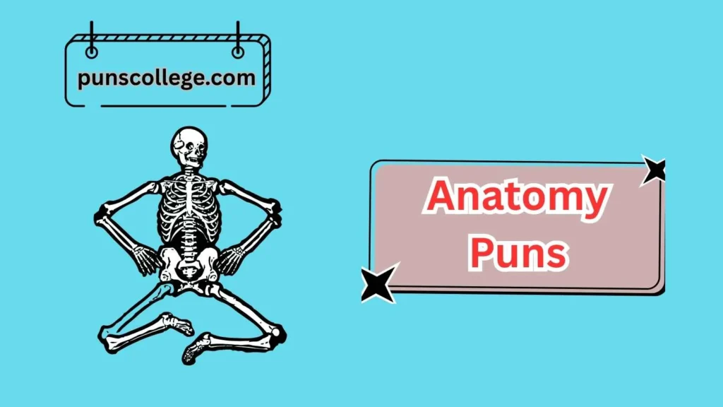 Funny Bone Puns