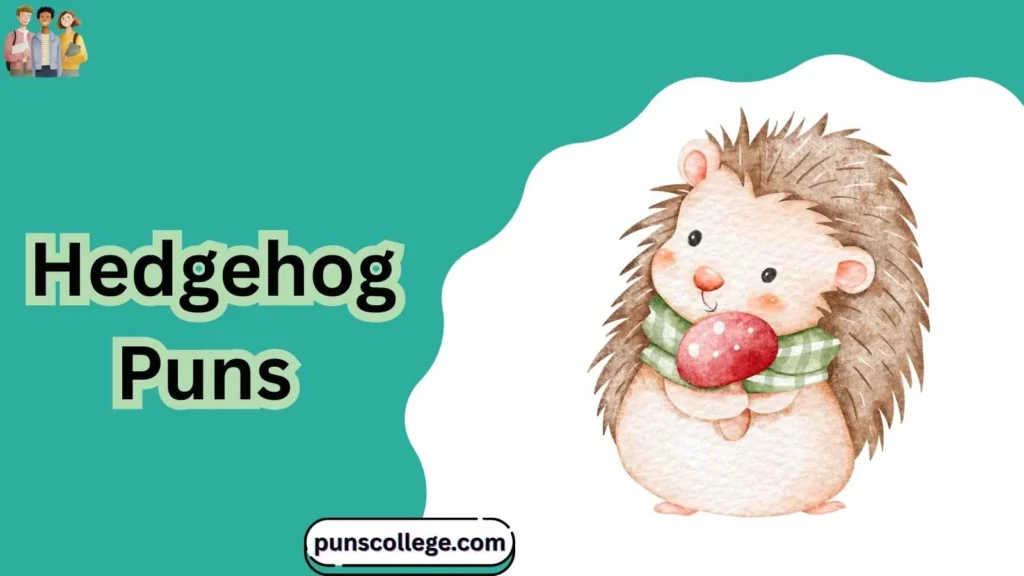Hedgehog puns one liners