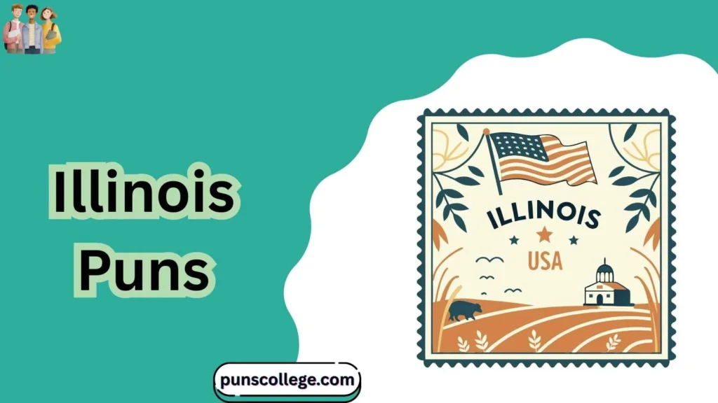 Illinois PUNS benefits