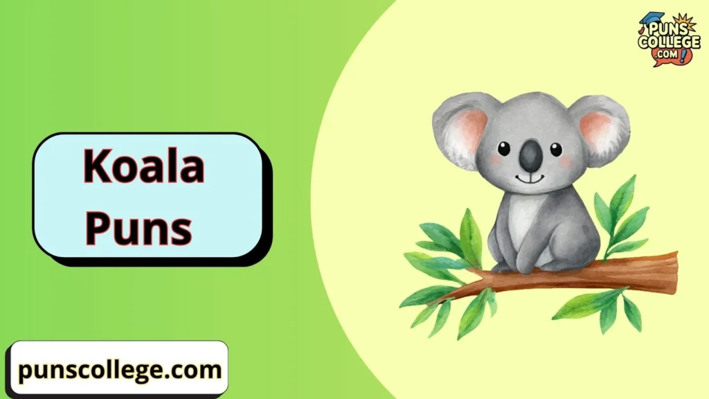 Koala Puns One Liners