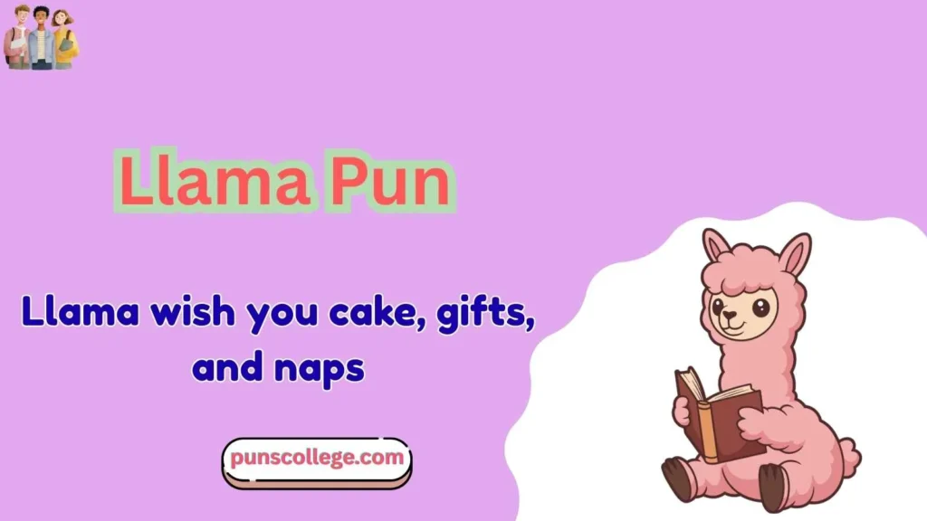 Llama puns birthday