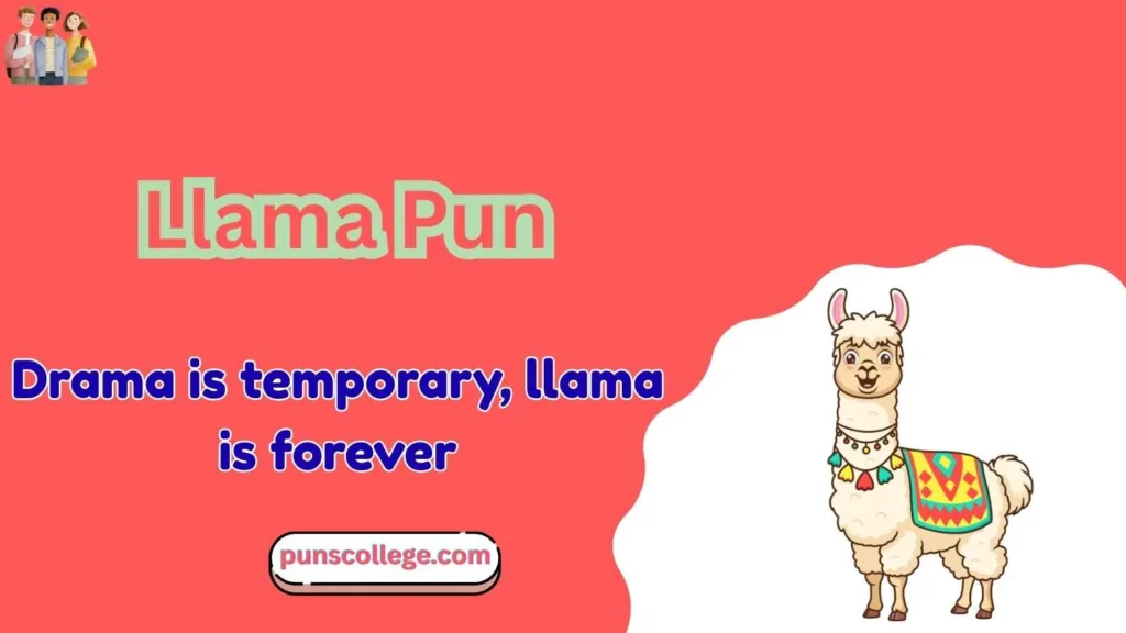 Llama puns one liners