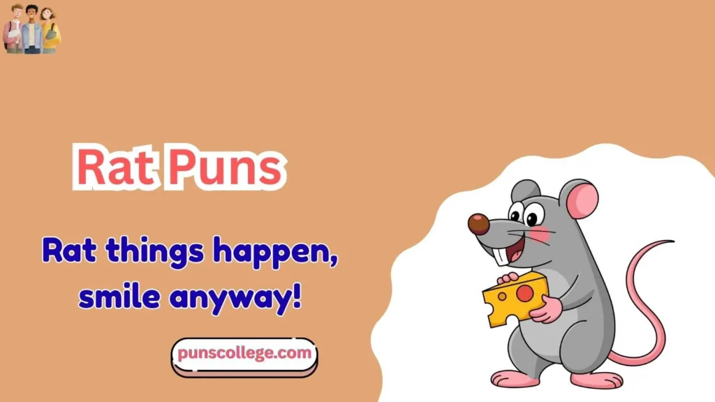 Rat Puns One Liners