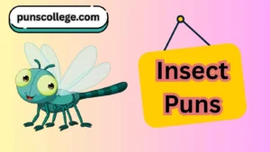 Insect Puns