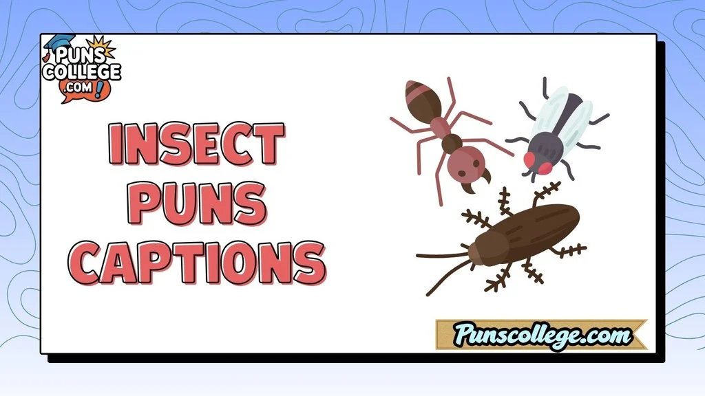 Insect Puns Captions