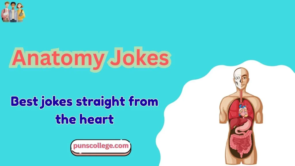 Best Anatomy Jokes