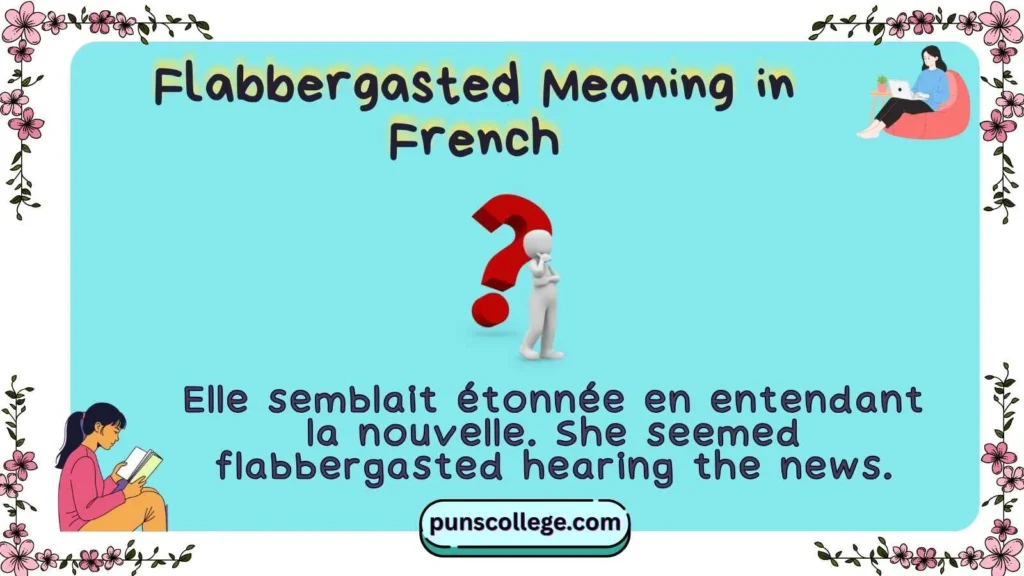 Flabbergasted Meaning in French
