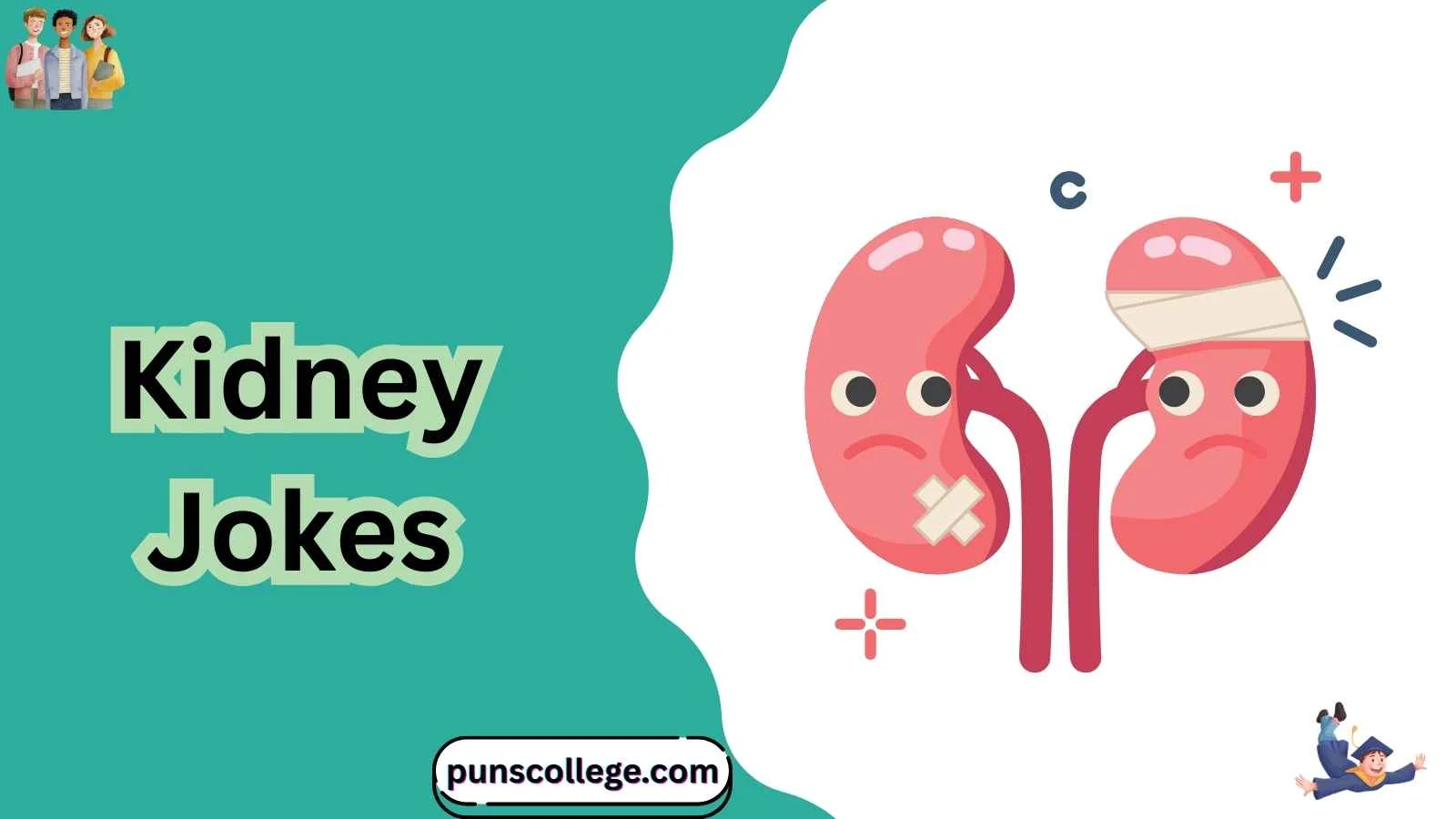 Kidney Jokes