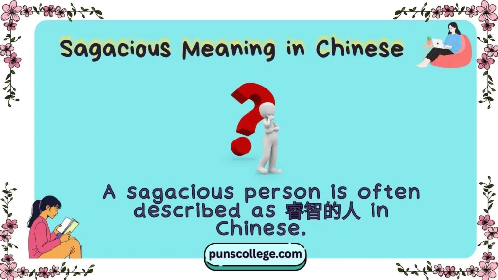 Sagacious Meaning in Chinese