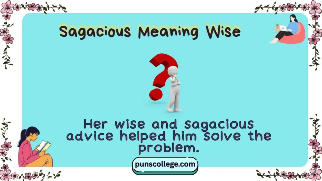 Sagacious Meaning Wise
