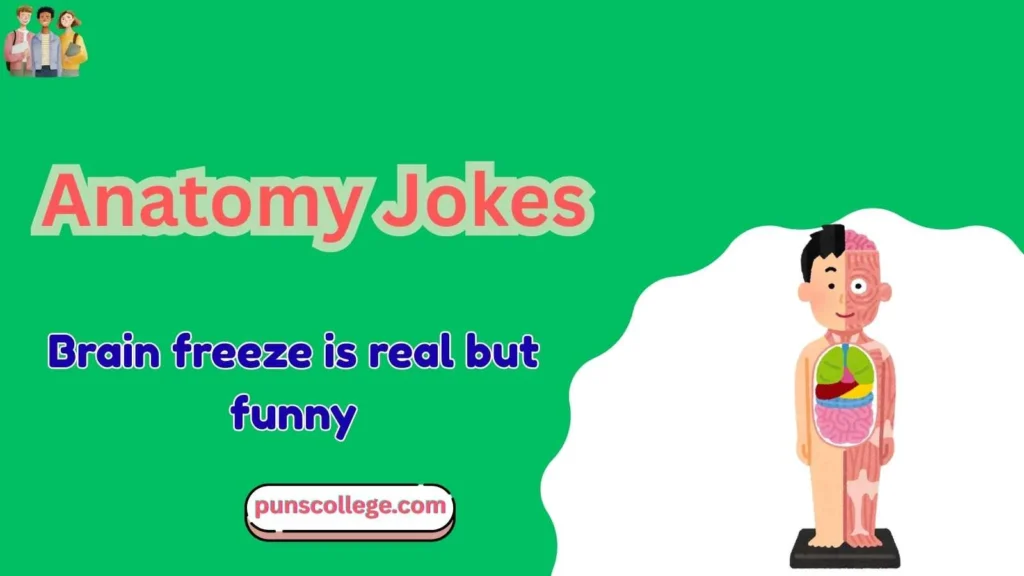 Short Anatomy Jokes