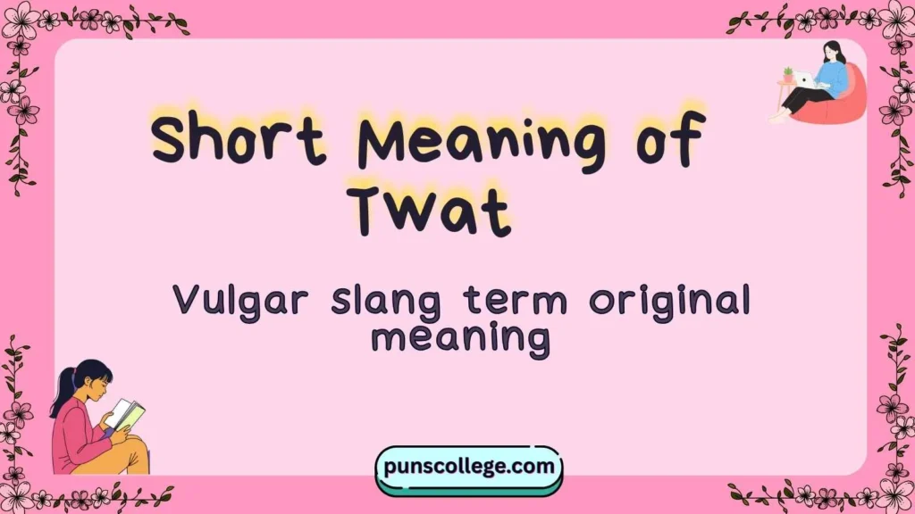 Short Meaning of Twat