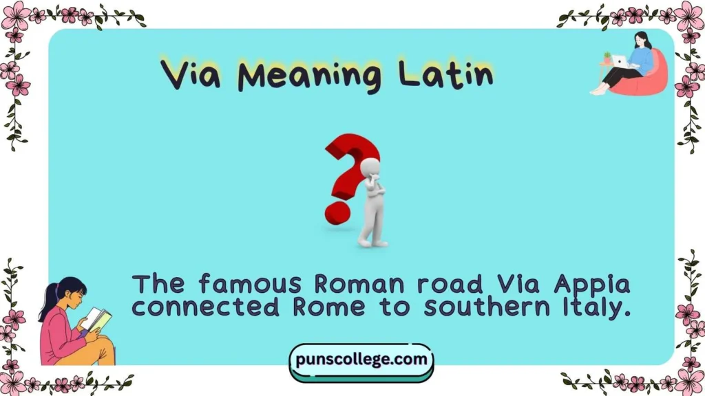 Via Meaning Latin